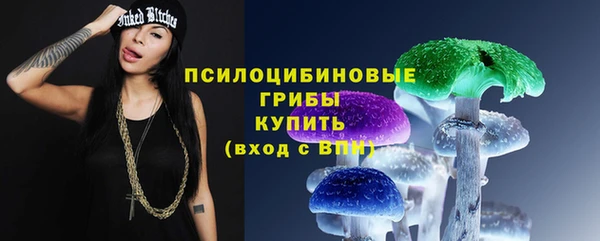 каннабис Каменногорск