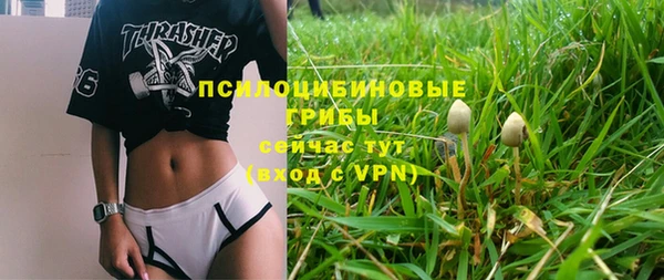 меф Инта