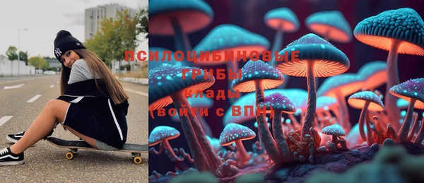 меф Инта