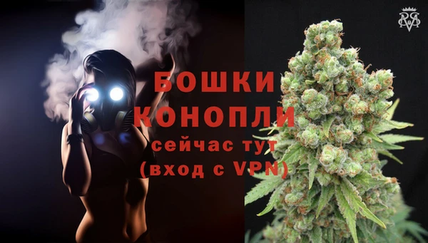 дживик Каменка