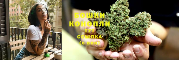 стаф Каменск-Шахтинский