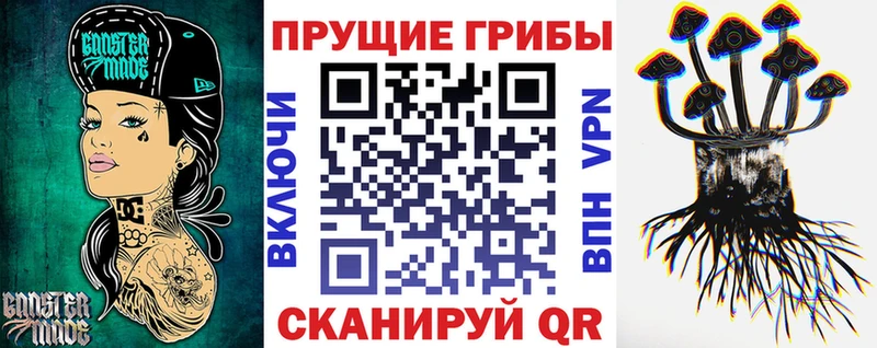 Псилоцибиновые грибы мицелий Кизилюрт