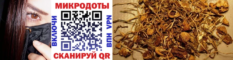 Галлюциногенные грибы Psilocybe  Кизилюрт 