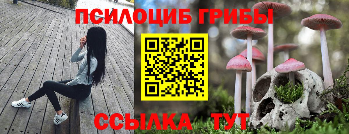 Псилоцибиновые грибы мицелий  Вход с VPN  Псилоцибиновые грибы Cubensis  Кизилюрт 