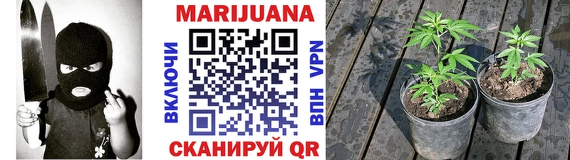 Конопля White Widow  Кизилюрт 