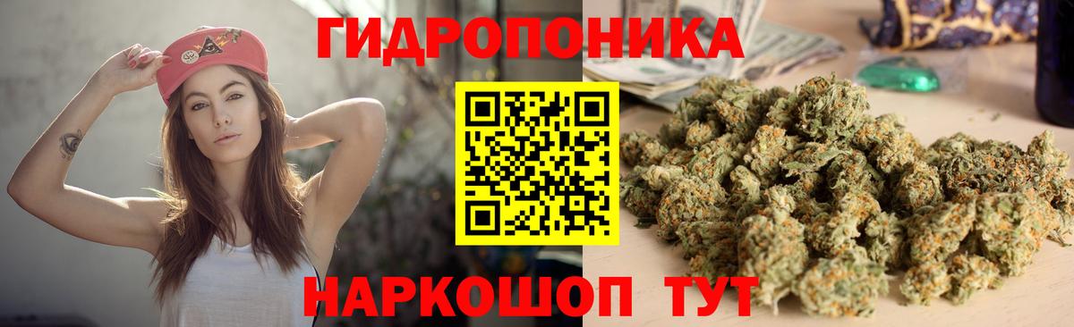 Шишки марихуана White Widow Кизилюрт